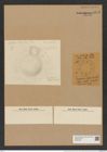 Craspedoporus elegans Grove et Sturt. (de-Toni-Nr.: Genus 180, Species 4483) Zeichnungen Sammlung Grunow Nr. 8049 (NHMW-BOT-W0377360)